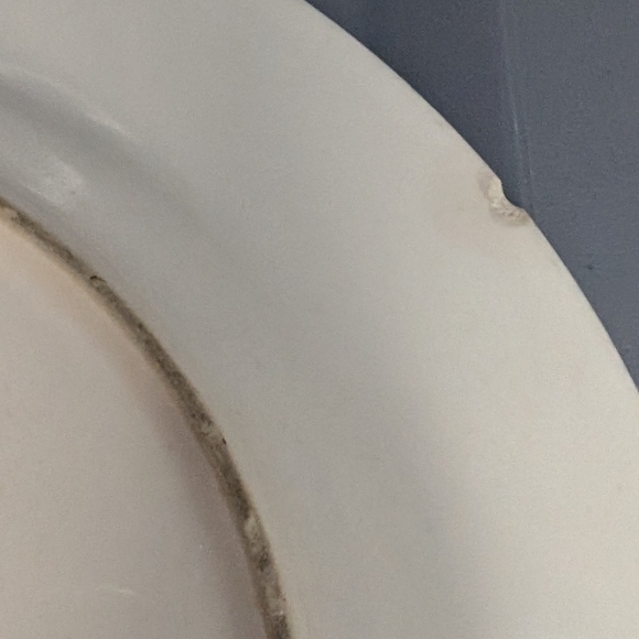 Pfaltzgraff vintage USA ceramic‎ Blueberries  handpainted 2 8.5" salad plates - Picture 3 of 5